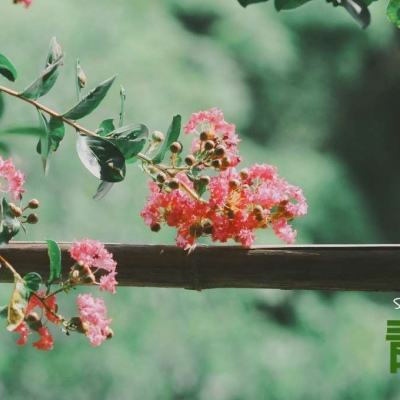 pg棋牌软件平台官方版下载截图